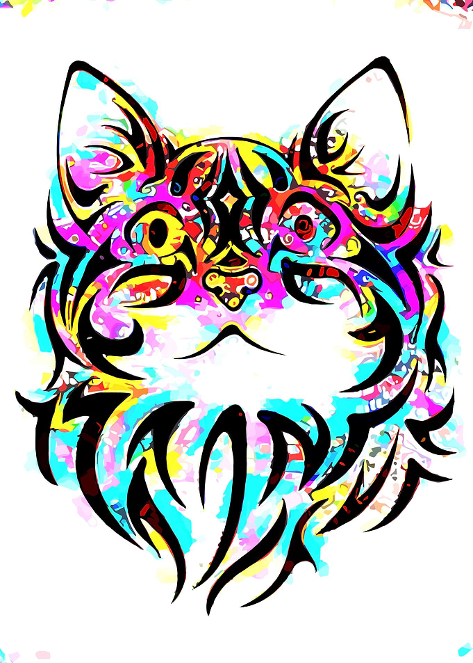Kitty