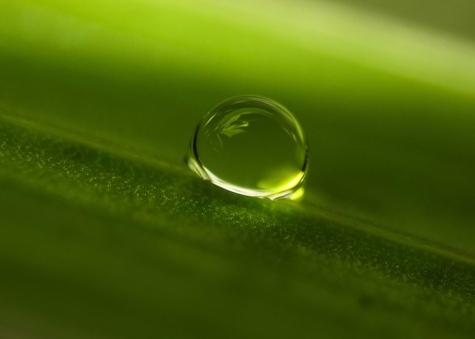 Green dew