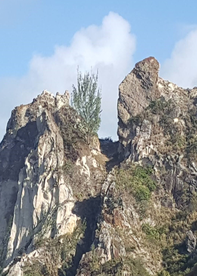 The Mountain Escape