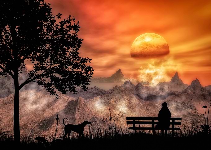 Alone on a bench