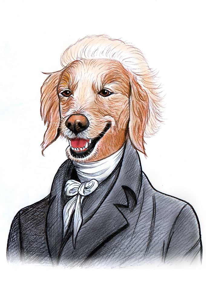 Dog