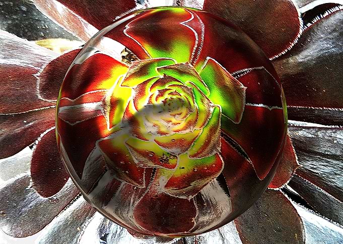 Floral 3d sphere