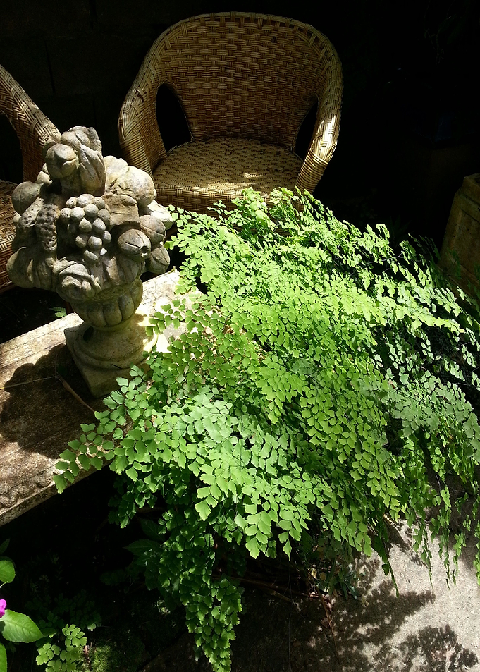 Garden Hangout