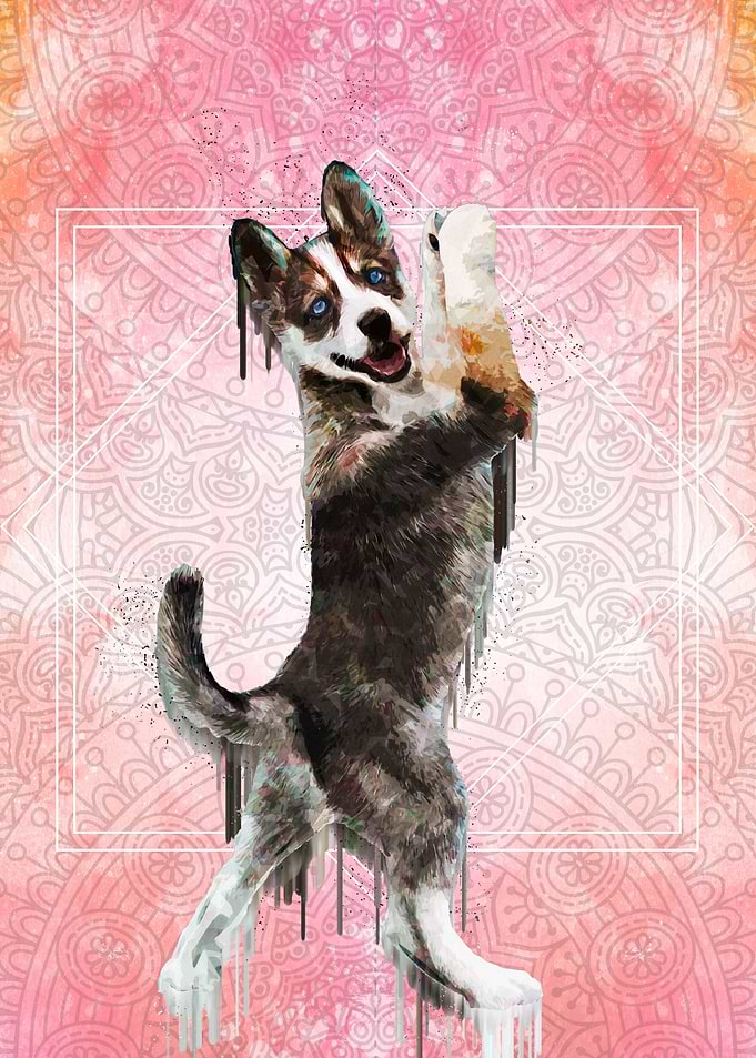 Yoga Dog