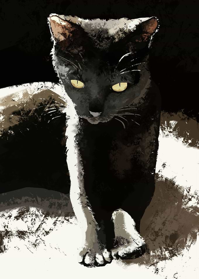 Black Cat