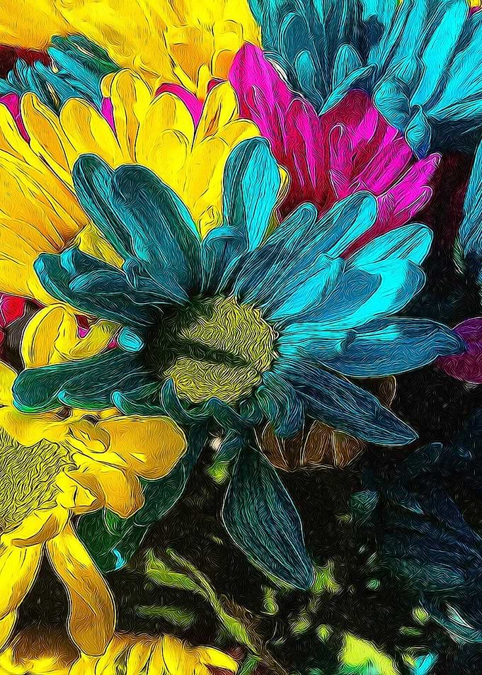 Daisies With Line