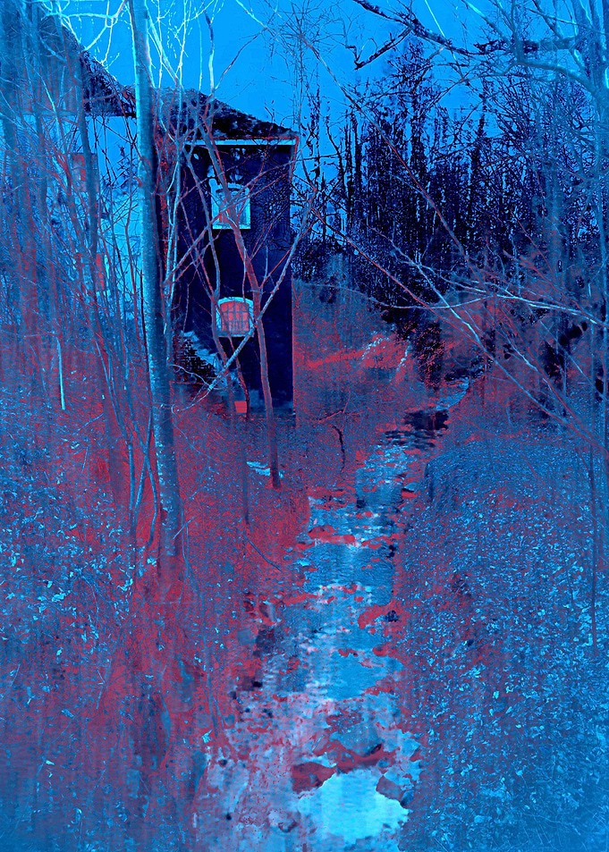 Into The Woods