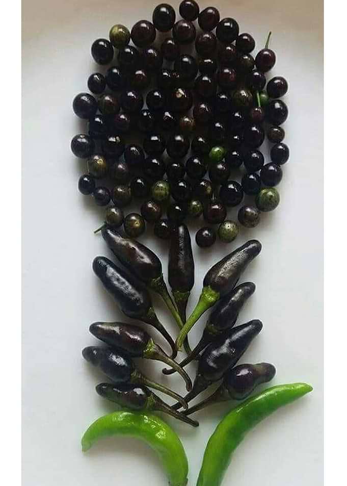 Vegetable art
