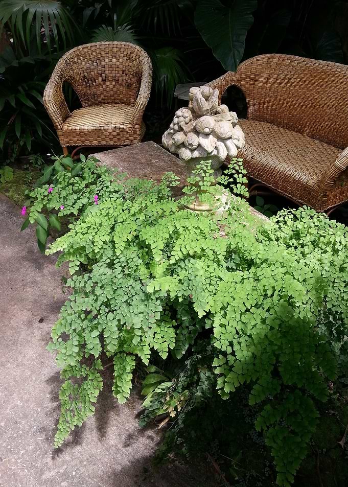 Cane Chair Relaxation