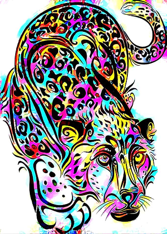 Leopard