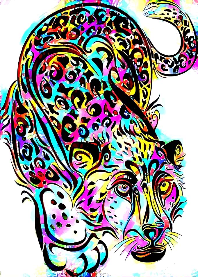 Leopard