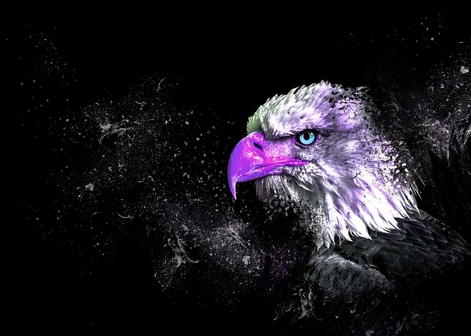 Eagle
