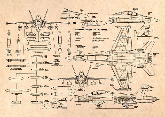 F18 fighter military