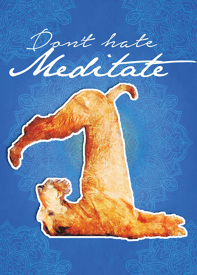 Dog Yoga Meditate