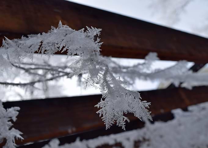 Snow
