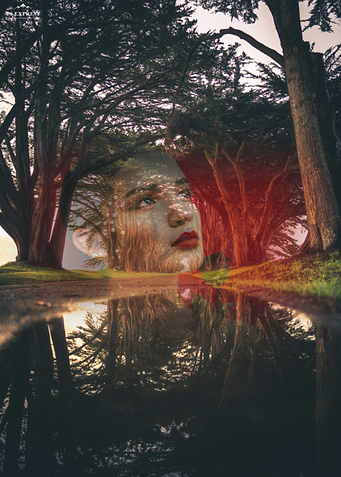 Beauty and Trees