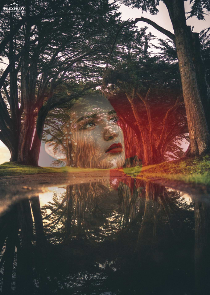 Beauty and Trees