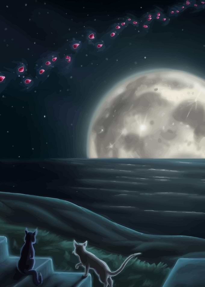 Moon Light