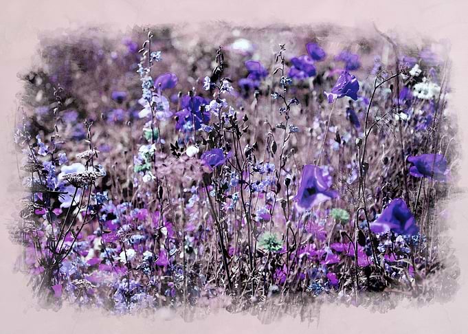 Violet Mood