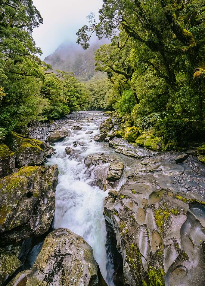 The Chasm