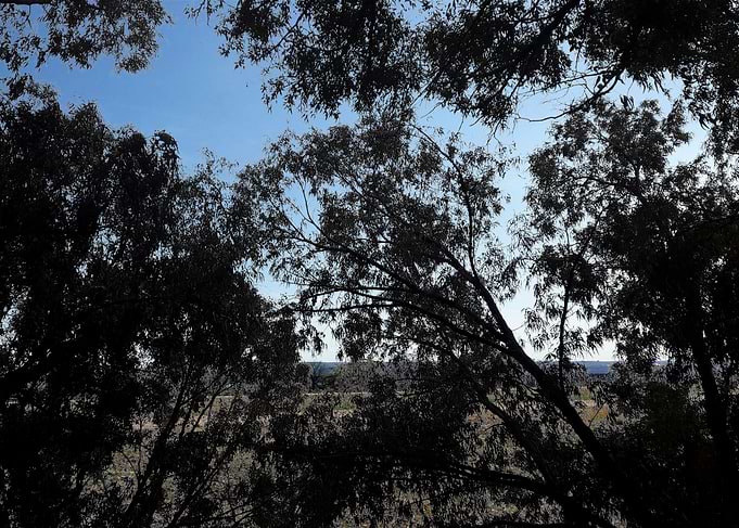 Natural Landscape