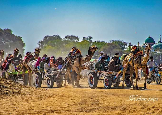 village life of Pakistanis