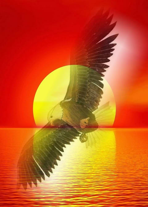 The Eagle and the Sunset