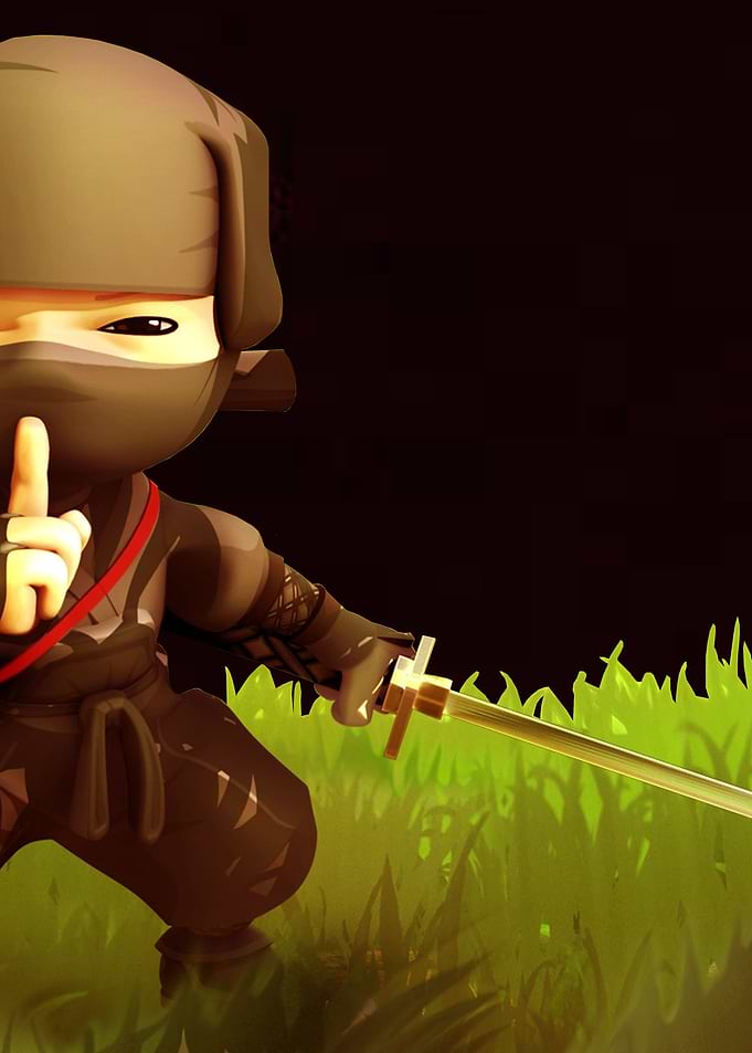 Ninja