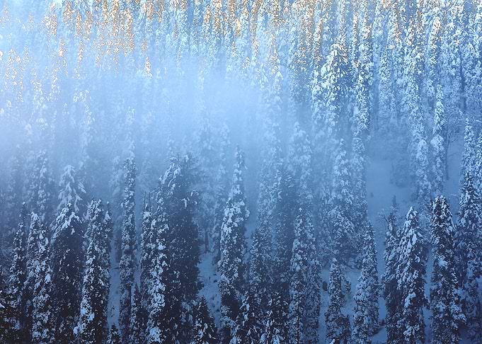 Winter in Gulmarg