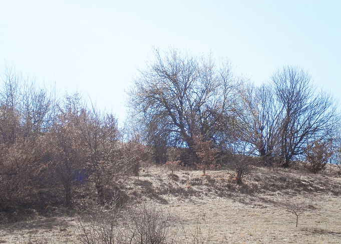 Countryside