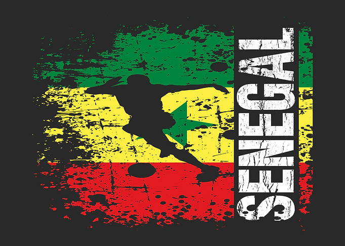 Senegal Soccer Team