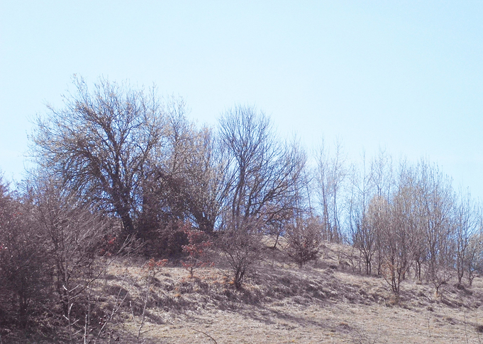 Countryside hills