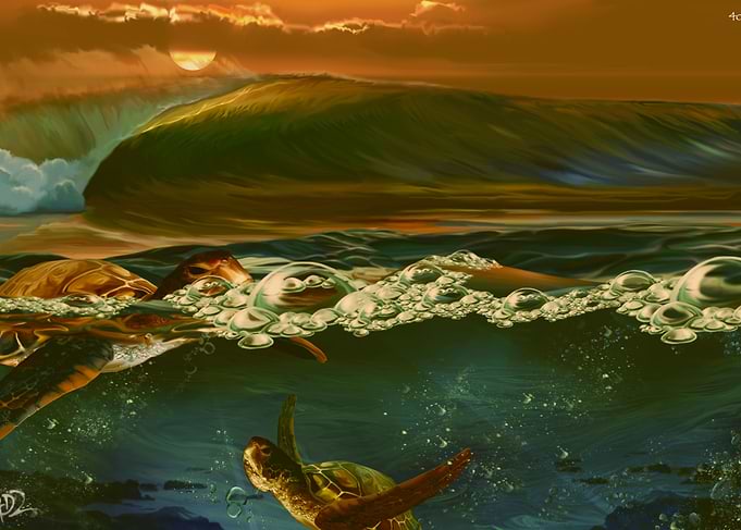 amaneciendo con tortugas