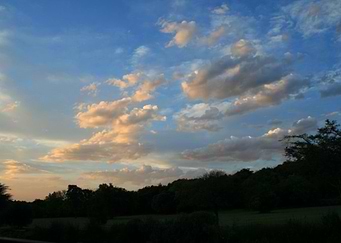 Highveld Sunset