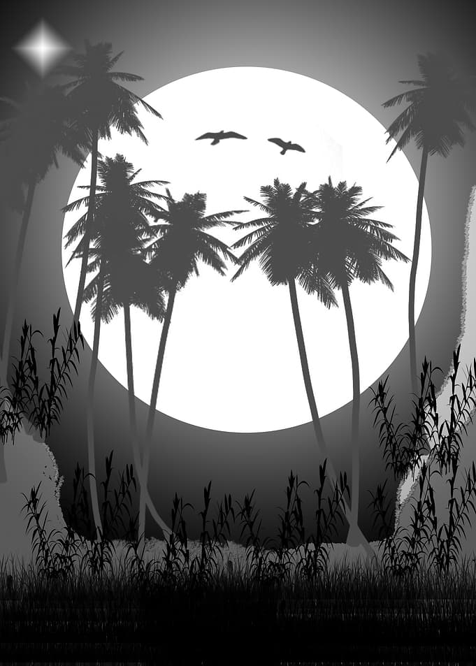 The Full Moon
