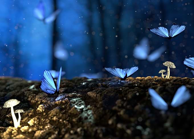Fantasy Butterfly