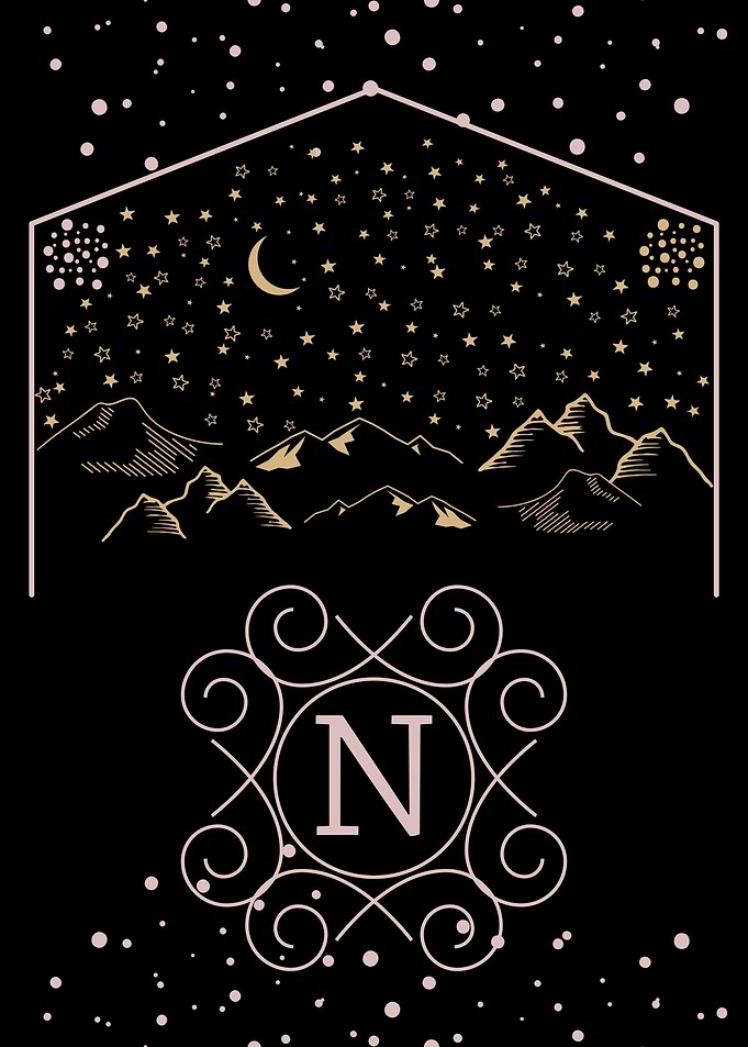 Starry Night Monogram N