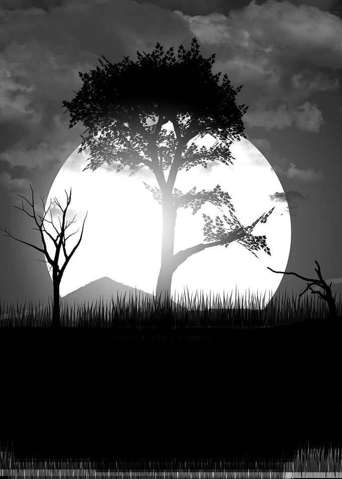 Beyond the Night