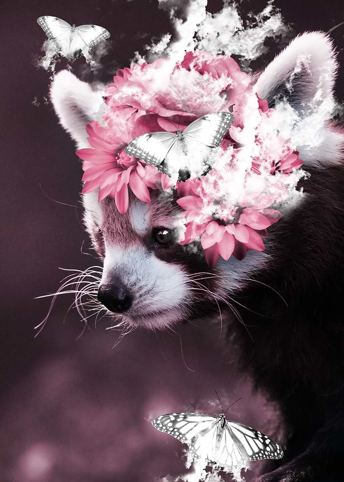 Pink panda