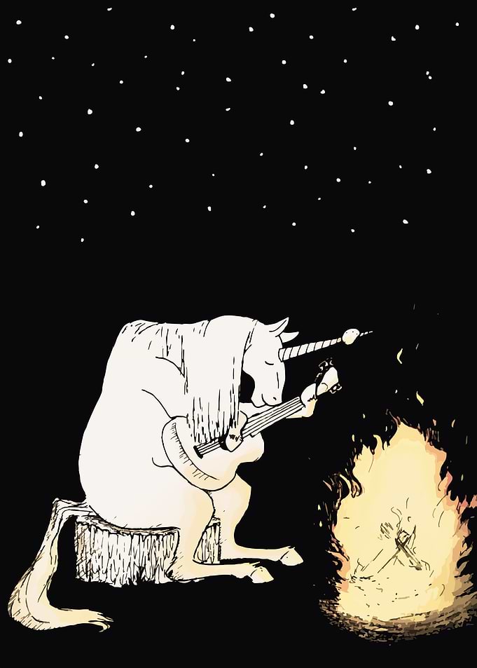 Camping Unicorn