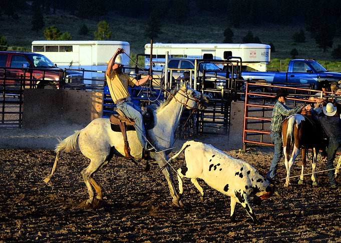 Rodeo in Bryce Canyon