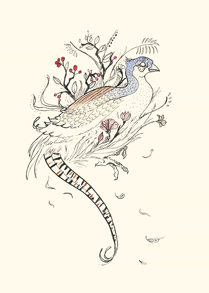 Pheasant design