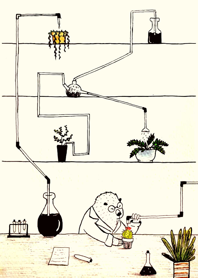Plant doctor