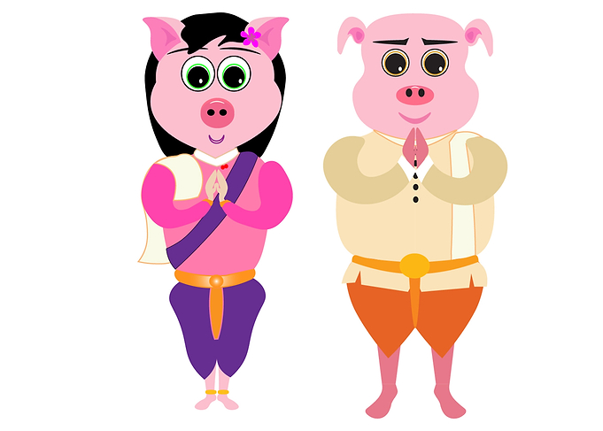 PIG with KH cloths