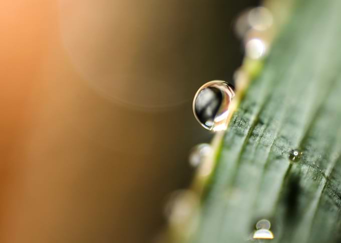 Slippery drop