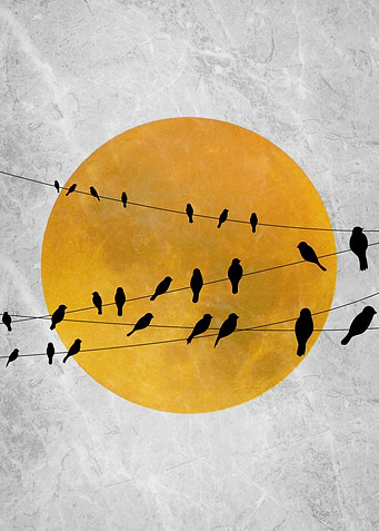 Gathering of Birds