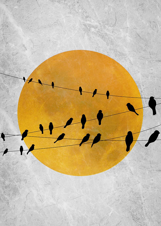 Gathering of Birds
