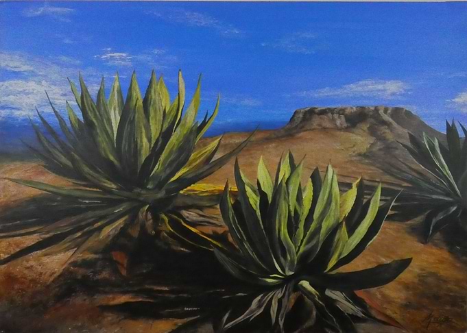 Desert