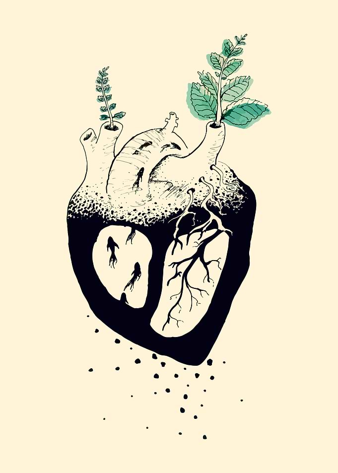 Lemon balm heart