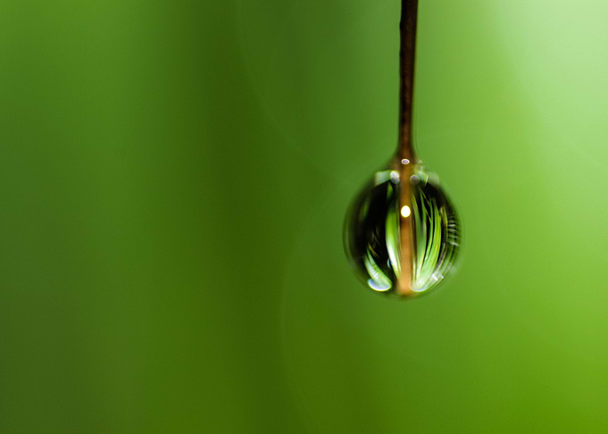 Last drop